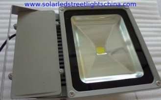 China 70-100W Flood Light, LED Light Manufacturers in China supplier