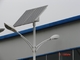 20W -60W Solar Street Lights | Solar Street Lamp | Solar LED Roadway Lights manufacturer supplier