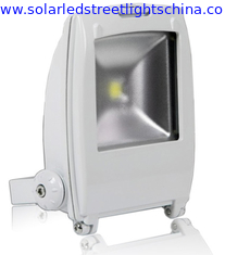 China 20W LED Flood Light, LED Floodlight good quality Manufacturer in China supplier