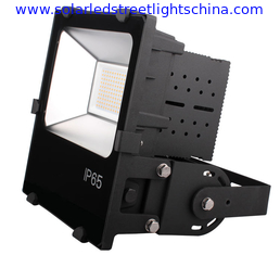 China 120W Massive Fins Aluminum LED Flood Light supplier