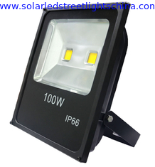 China 100W Die-Casting Aluminum Ultra-Thin Flood Light supplier