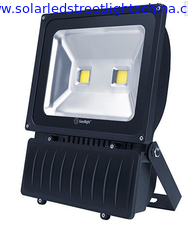 China Goodlight 80W Industrial LED Flood Light (Daylight) supplier