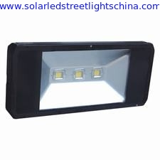 LED Tunnel Light Manufacturer supplier