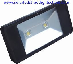 LED Tunnel Light Manufacturer supplier